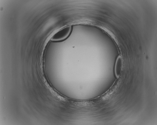 X0000071770949200607211528