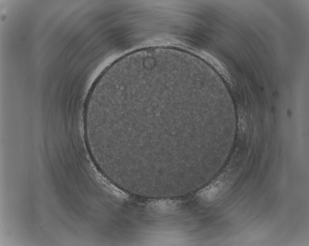 X0000071770950200607211528