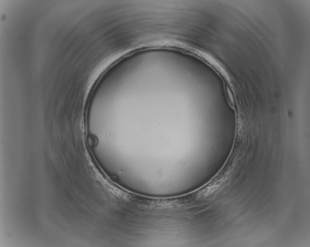 X0000071770951200607211528