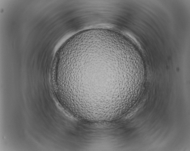 X0000071770952200607211528