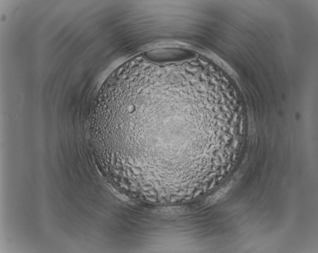 X0000071770953200607211528