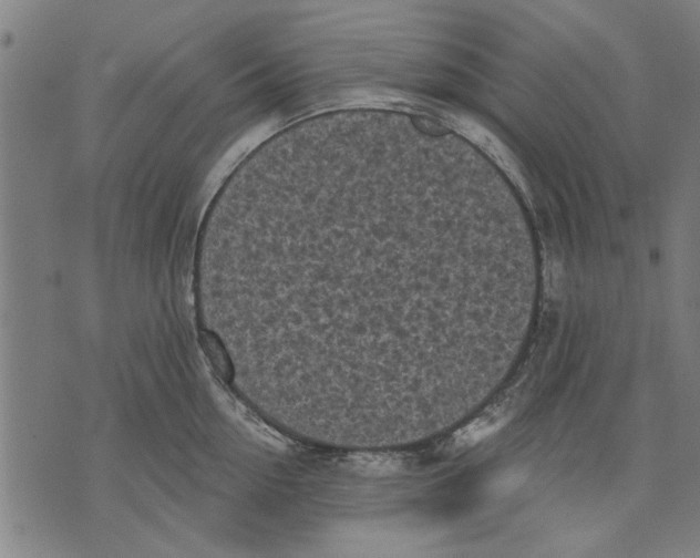 X0000071770954200607211528