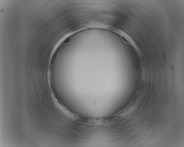 X0000071770955200607211528