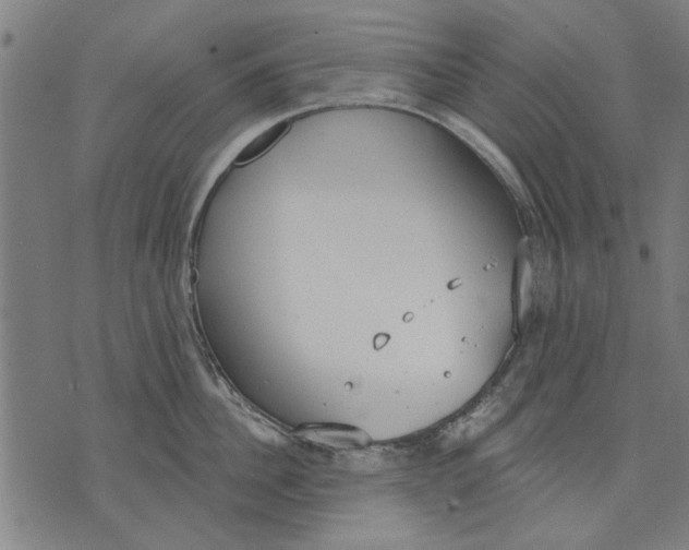 X0000071770956200607211528