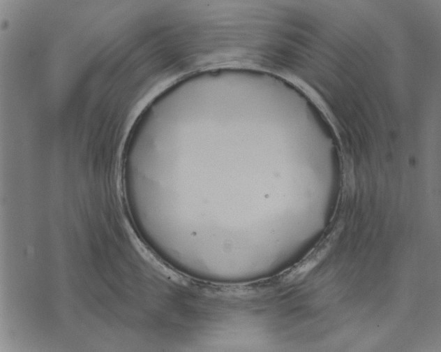 X0000071770957200607211528