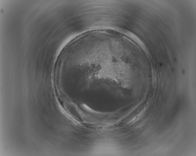 X0000071770958200607211529