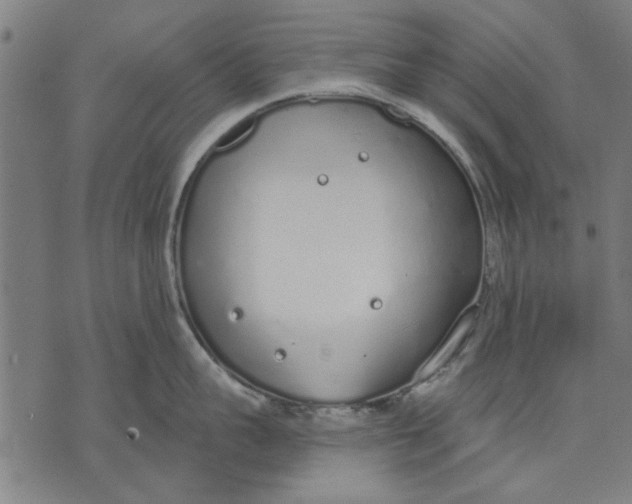 X0000071770959200607211529