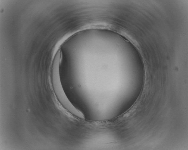 X0000071770960200607211529