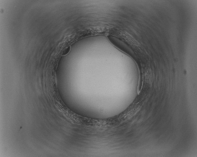 X0000071770961200607211528