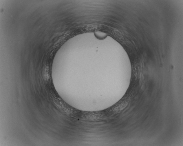 X0000071770962200607211528