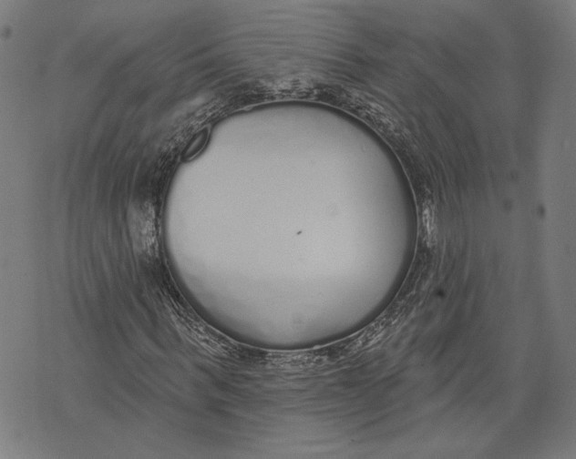 X0000071770963200607211528