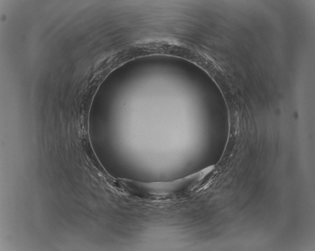 X0000071770965200607211528