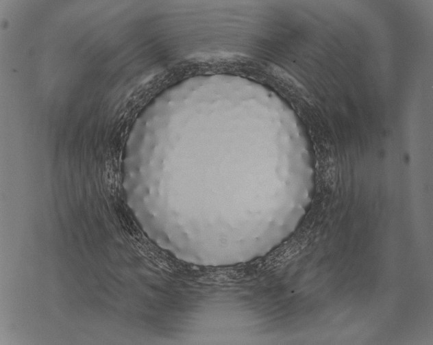 X0000071770966200607211528