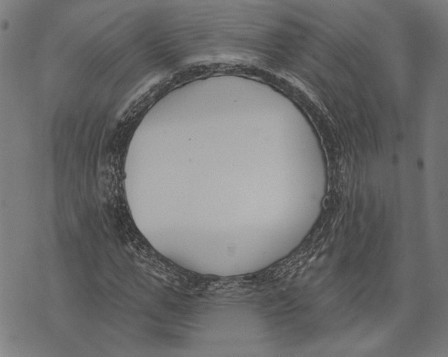 X0000071770967200607211528