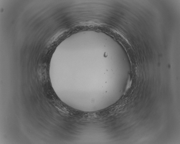 X0000071770968200607211528