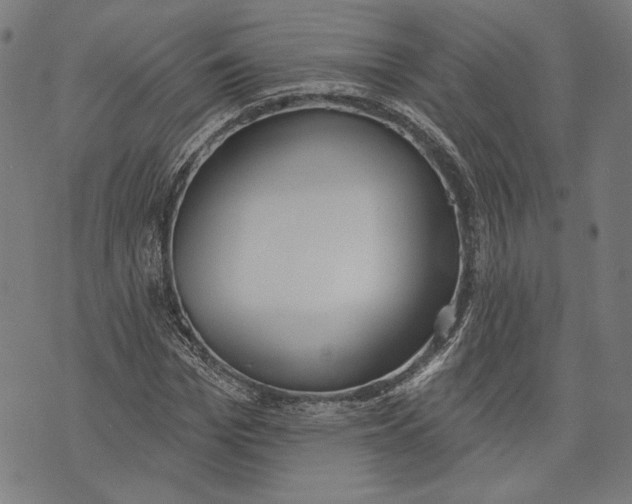 X0000071770969200607211528