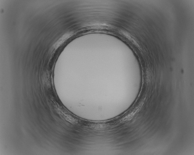 X0000071770970200607211528