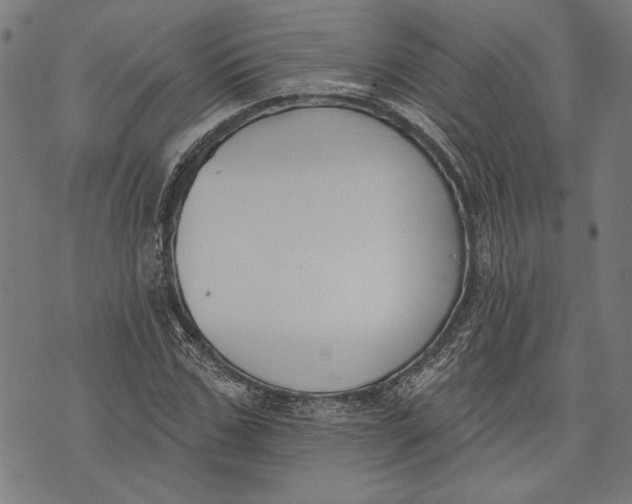 X0000071770971200607211528