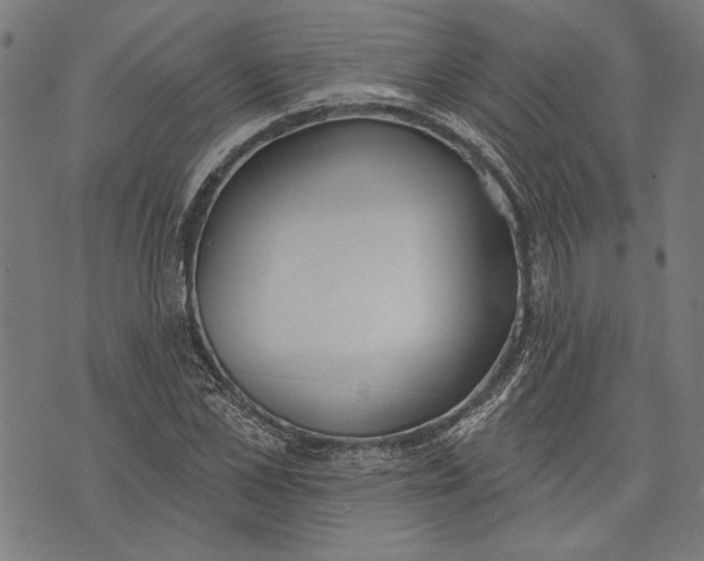 X0000071770973200607211528