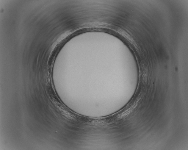 X0000071770974200607211528