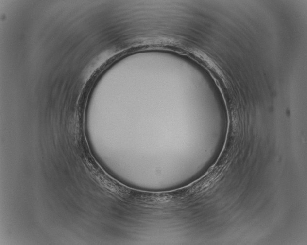 X0000071770975200607211528