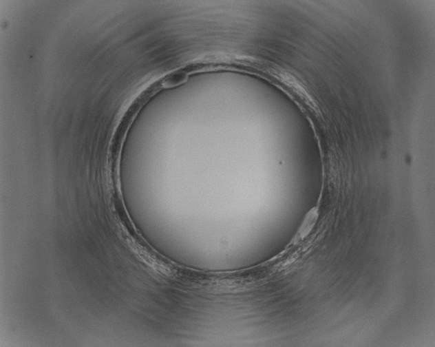 X0000071770976200607211528