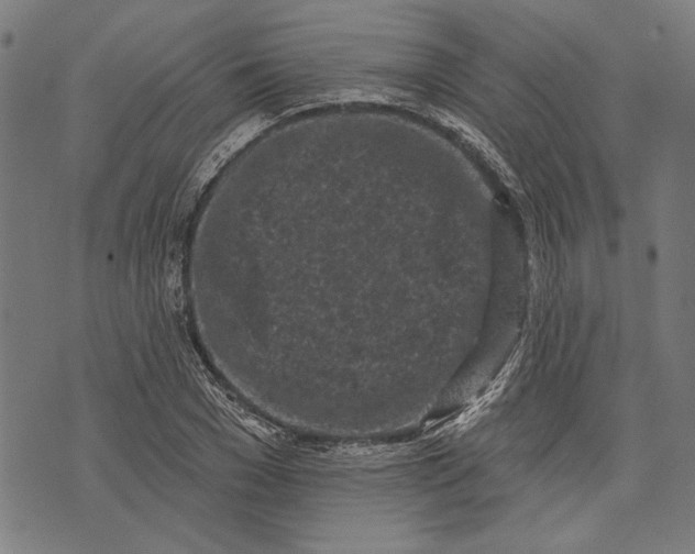 X0000071770977200607211528