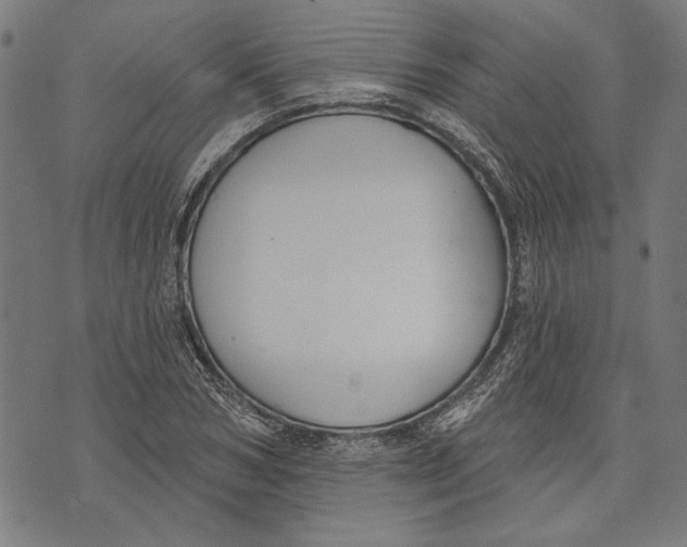 X0000071770978200607211527