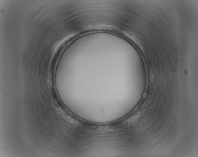 X0000071770979200607211527