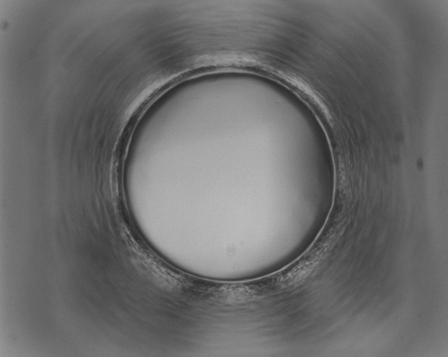 X0000071770983200607211527