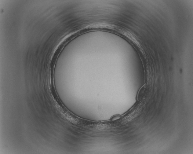 X0000071770984200607211527