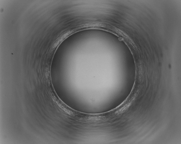 X0000071770985200607211527