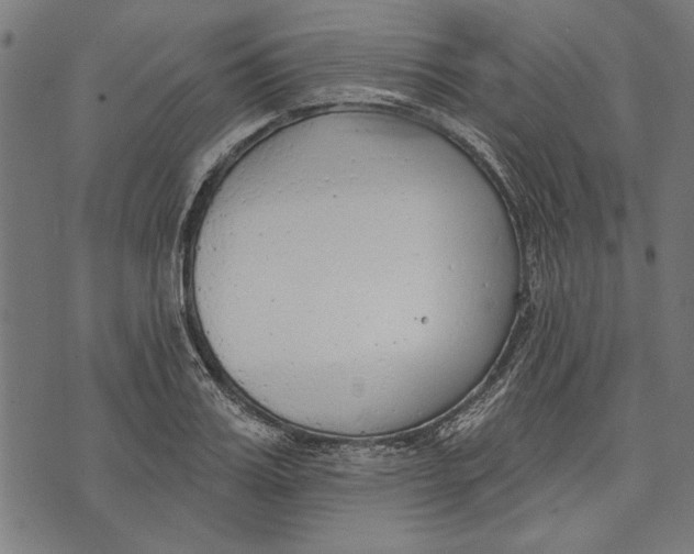 X0000071770987200607211527