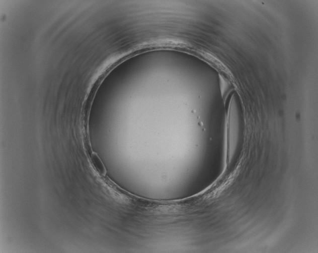 X0000071770989200607211527