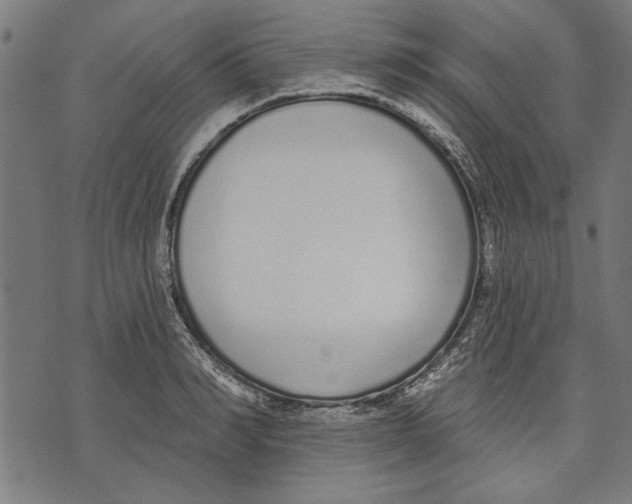 X0000071770990200607211527