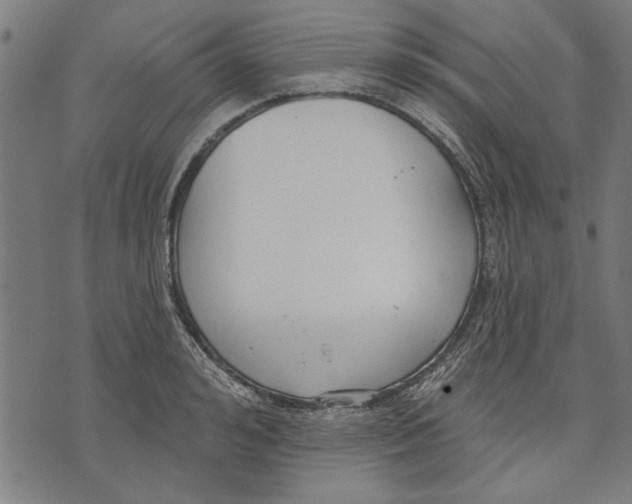 X0000071770992200607211527