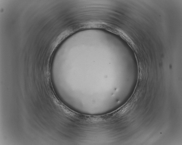 X0000071770994200607211527