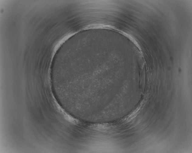 X0000071770995200607211527