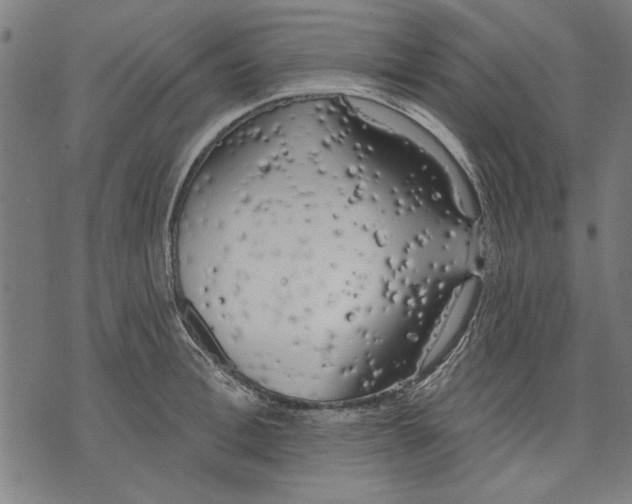 X0000071770996200607211527