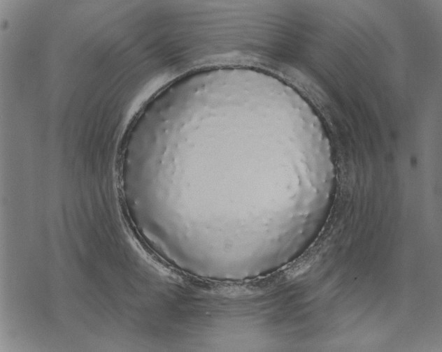 X0000071770998200607211527