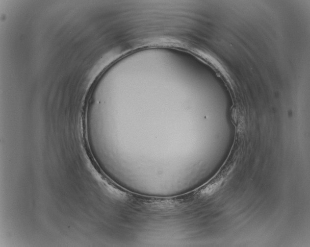 X0000071770999200607211527