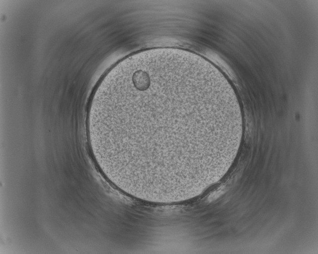 X0000071771000200607211527