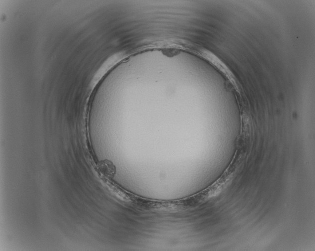 X0000071771002200607211527