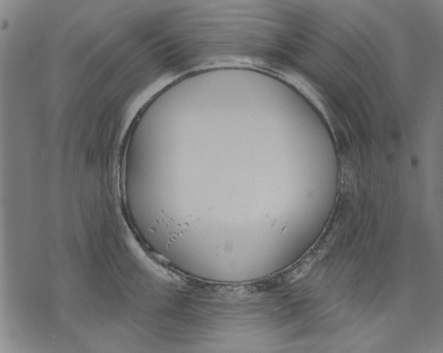 X0000071771003200607211527