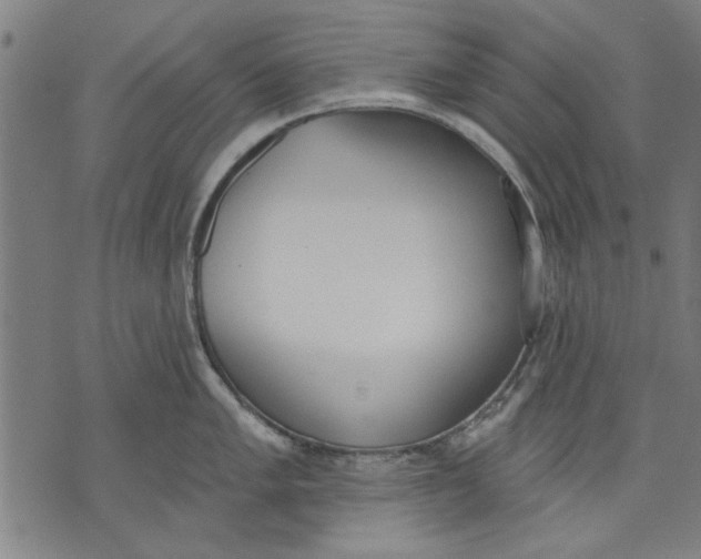 X0000071771005200607211527