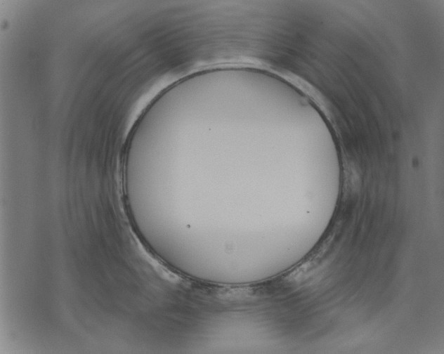 X0000071771006200607211527