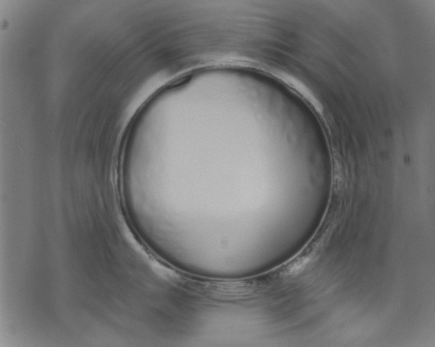 X0000071771007200607211527