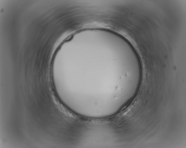 X0000071771008200607211527