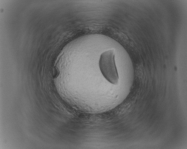 X0000071771009200607211526