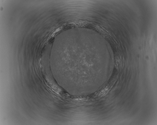 X0000071771010200607211526